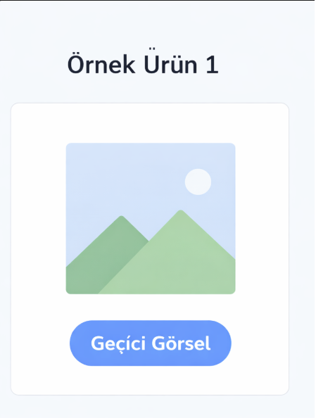 Örnek Ürün 1
